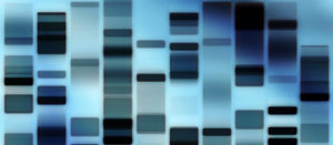 family history in dna